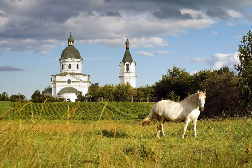 Церковь в поле