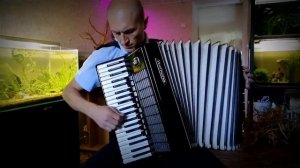 Кукушка на аккордеоне. Виктор Цой. Обработка.