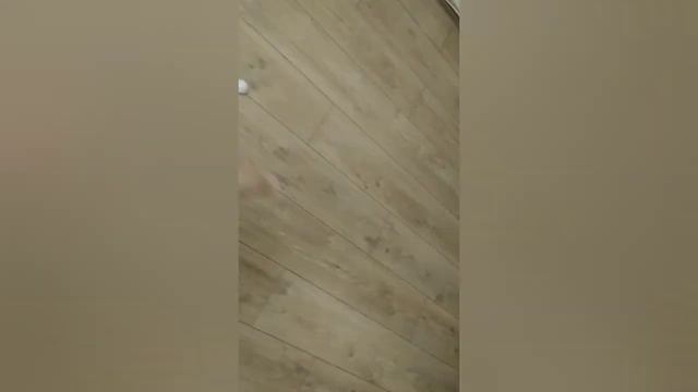 запускаю цепь из домино с шариком смотреть онлайн