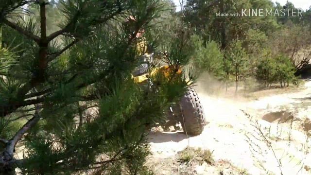 Прогулка по лесу на BRP DS 250 CAN-AM ( Встретили MOTOLAND WRX 250 PIT) смотреть онлайн