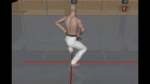 Стойка неко аши дачи карате