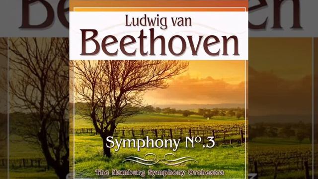 Allegro Con Brio (Аддубо Сои Втго) смотреть онлайн