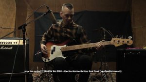 Обзор струн ROTOSOUND ROTO BASS 45-105 + ARIA PRO 2 professional bass 1976 + Yerasov BA-210R