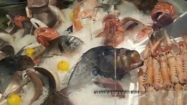 Roma, Benvenuti all'Osteria Corte del Grillo manortiz