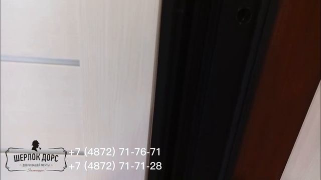 Входная дверь Дуэт с Зеркалом от салона дверей Шерлок Дорс в Туле смотреть онлайн