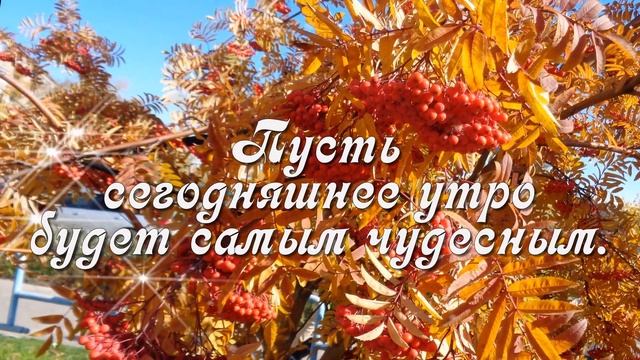 С Добрым утром! ?Пусть утро будет чудесным! ?Музыкальная видеооткрытка?Good morning!?