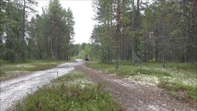 Паксус Гранд 500 смотреть онлайн