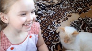 145/Наш выходной день/Обзор покупок