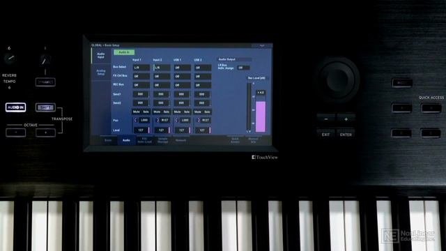 16. Audio Inputs