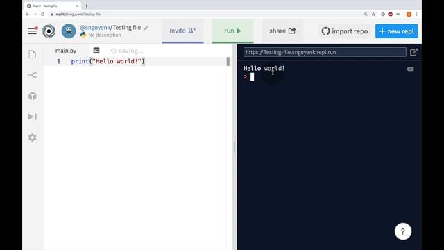 Python Input & Output