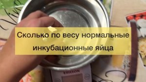 Как выбрать яйца перепелок на инкубацию