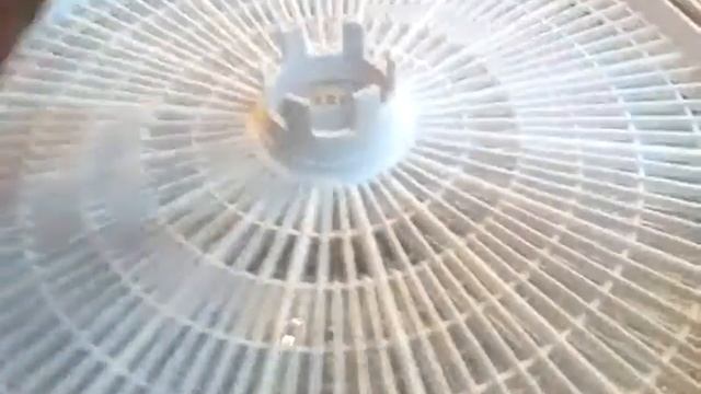 Дешевая сушилка как Изидри ( Ezidri) фирмы Беломо смотреть онлайн