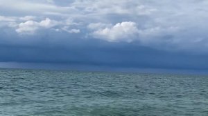 10.12.2023. Погода в Сочи в декабре. Смотри на Чёрное море каждый день.