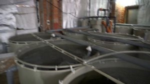 Где можно купить малька форели в Подмосковье?