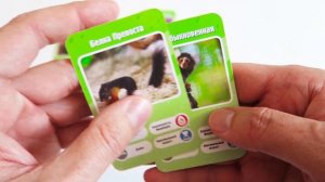 ЭТО ФАКТ! ЗООПАРК ??? Обзор за 2 минуты ??? Десятки зверушек из Ленинградского зоопарка