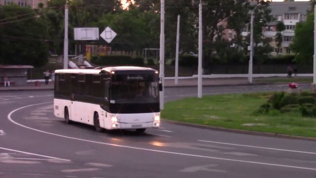 МАЗ 231  MAZ 231