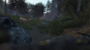 ТОП 3 МЕСТА ДЛЯ СХРОНОВ В DAYZ