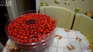 Сушилка Мастерица / Сушим боярышник