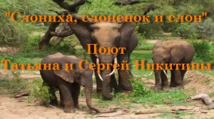 Слониха, слонёнок и слон