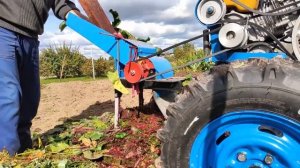 Измельчитель корнеплодов к мотоблоку