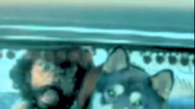 Wheelies Dont Stop Git GIT IT! Live 3/19@The New Frontier смотреть онлайн