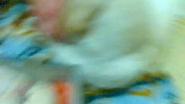 Новорожденные  щенки лабрадора Тесски.3gp