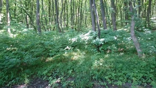 Гипсовая форма для отлива рыболовных грузил из свинца смотреть онлайн