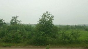 Поезд Императорский маршрут Тюмень - Тобольск.Виды из окнаОбзор РЖД.По Транссибу? .Trans-Siberian