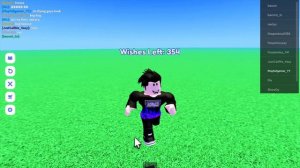 all fly glitches in Roblox make a wish