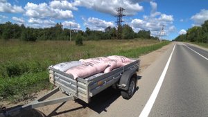 Покупка кормов для кроликов. Цены на зерно, корм и добавки