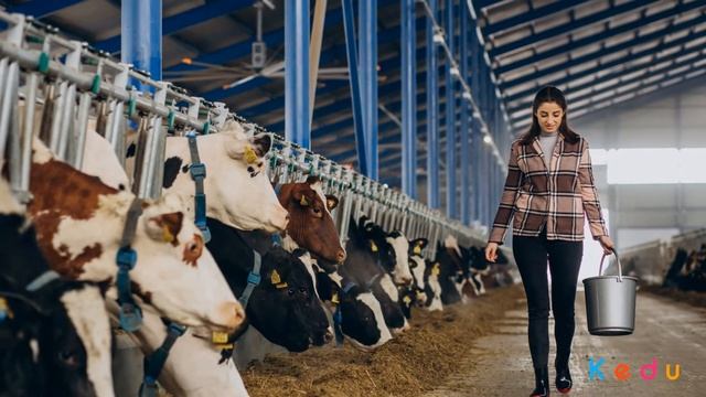 Дояр (доярка): особенности профессии, обучение смотреть онлайн