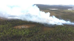 Реки Кольского. Лотта и Карийоки, 184 км по финской дороге . Июнь 2020.