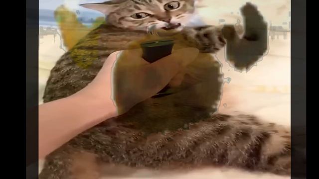 Девятая жизнь?