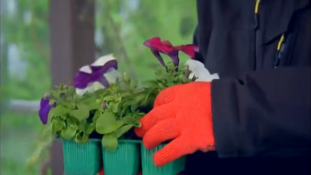 Цветник в беседке смотреть онлайн