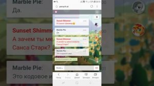 ОБЩАЕМСЯ В ПОНИ-ЧАТЕ