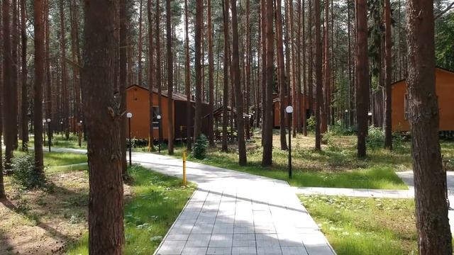 Обзор Sherwood Park Hotel. Июль 2020. смотреть онлайн