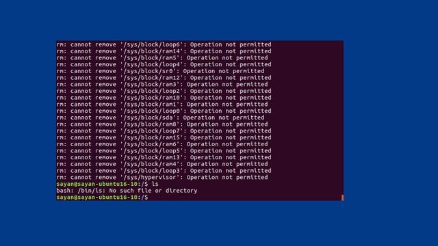 What happens when you sudo rm -rf / your machine? смотреть онлайн
