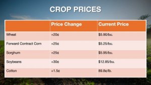 Market Monitor (7/17/21)