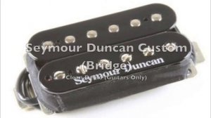 Seymour Duncan Custom TB-5 Bridge Clean Demo
