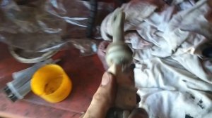 замена демпферного кольца ланос без вложений и суеты! ланос авео