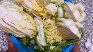 ?️? ЧИМЧИ на зиму | Самый простой рецепт  #чимчи #назиму #заготовкиназиму