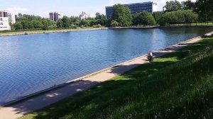 Ольгинский пруд Парк Сосновка Выборгский район