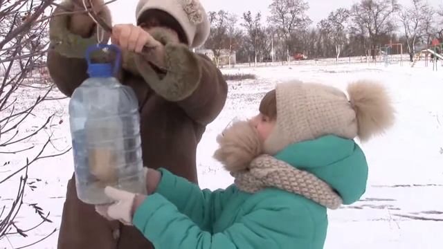 Встреча зимующих птиц