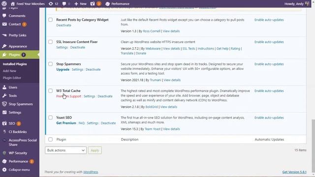 How to update wordPress safely смотреть онлайн