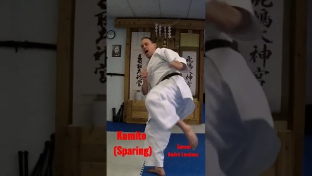 Kumite (sparing),  Sensei André Lemieux  #karate #trending #gojuryu #sensei