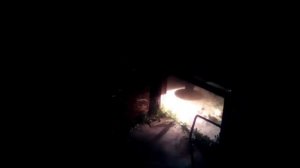 Ночная жизнь моих племенных Московских утят (шипунчиков) разных мастей