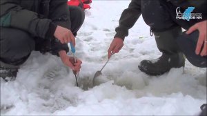 Зимняя рыбалка в Бармино. Река Волга.