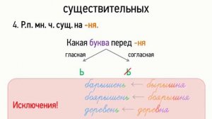 Правописание окончаний существительных (6 класс, видеоурок-презентация)