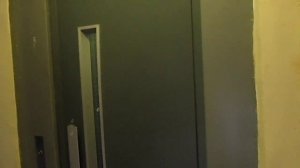 Распашной лифт OTIS 1000R (2007 г.в.), V=1 м/с, Q=225 кг (1901)