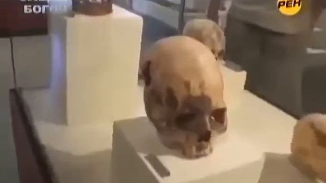 Археологи раскопали вытянутые черепа неизвестных существ.  Древние люди или инопланетяне?